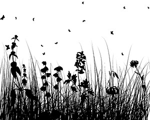 Image showing meadow silhouettes