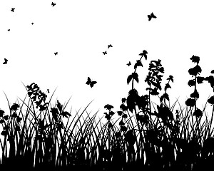 Image showing meadow silhouettes