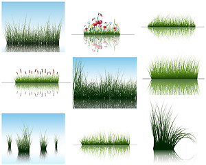 Image showing grass on water
