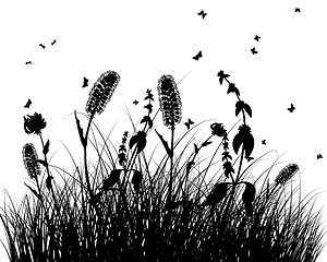 Image showing meadow silhouettes