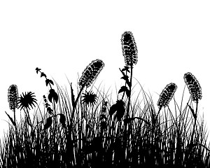 Image showing meadow silhouettes