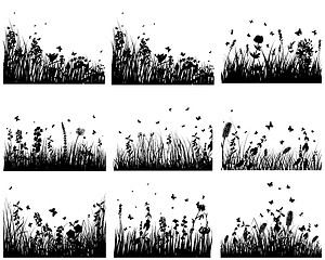 Image showing meadow silhouettes