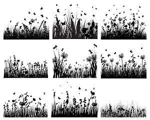 Image showing meadow silhouettes