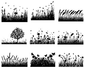 Image showing meadow silhouettes