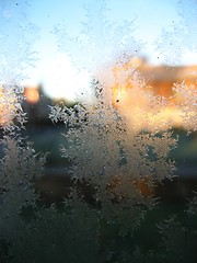 Image showing Frost