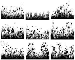 Image showing meadow silhouettes