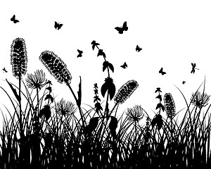 Image showing meadow silhouettes