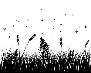 Image showing meadow silhouettes