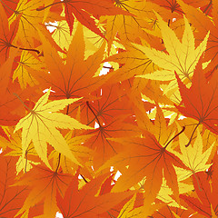 Image showing seamless maple leaves