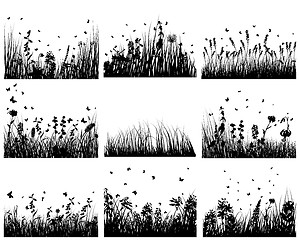 Image showing meadow silhouettes