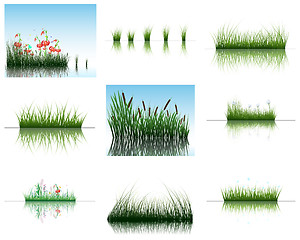 Image showing grass on water