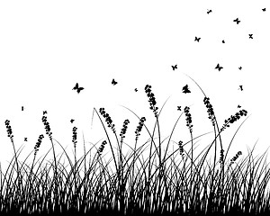 Image showing meadow silhouettes