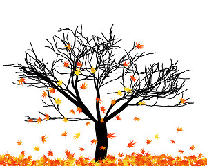 Image showing autumn leaves