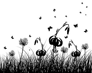 Image showing meadow silhouettes