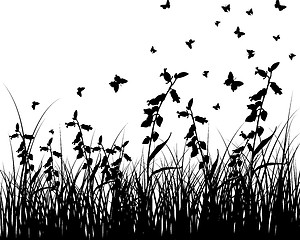 Image showing meadow silhouettes