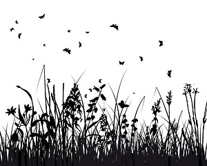 Image showing meadow silhouettes