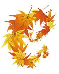 Image showing autumn leaves