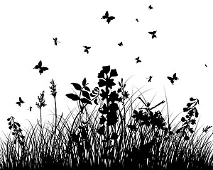 Image showing meadow silhouettes