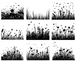 Image showing meadow silhouettes