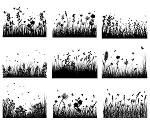 Image showing meadow silhouettes