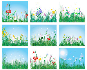 Image showing meadow silhouettes