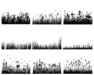 Image showing meadow silhouettes