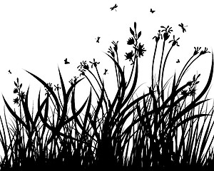 Image showing meadow silhouettes