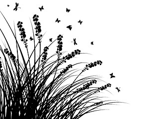 Image showing meadow silhouettes