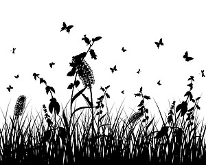 Image showing meadow silhouettes