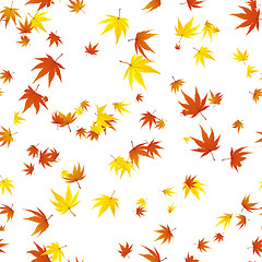 Image showing seamless maple leaves