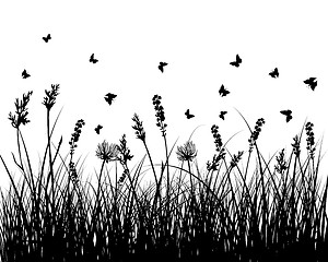 Image showing meadow silhouettes