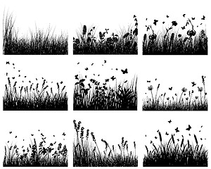 Image showing meadow silhouettes