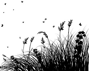 Image showing meadow silhouettes