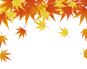 Image showing autumn leaves