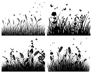 Image showing set of grass silhouettes