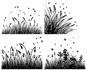 Image showing set of grass silhouettes