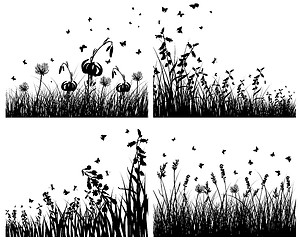 Image showing set of grass silhouettes