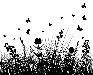 Image showing meadow silhouettes