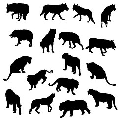 Image showing Set of wolves, tigers, leopareds and lions silhouettes