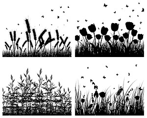 Image showing set of grass silhouettes