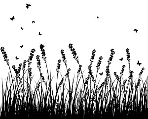 Image showing meadow silhouettes