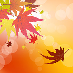 Image showing autumn leaves