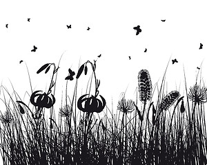 Image showing meadow silhouettes