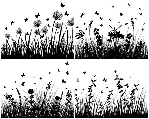 Image showing meadow silhouettes