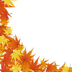 Image showing autumn leaves