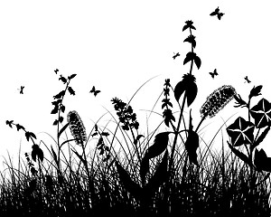 Image showing meadow silhouettes