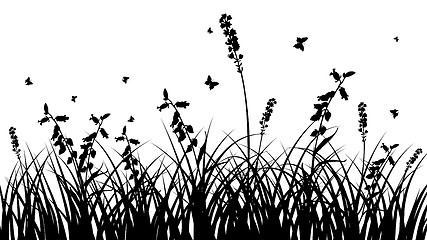 Image showing meadow silhouettes