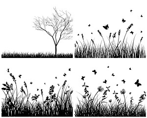 Image showing meadow silhouettes