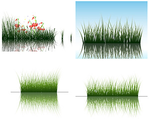 Image showing grass on water