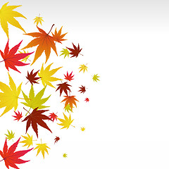 Image showing autumn leaves